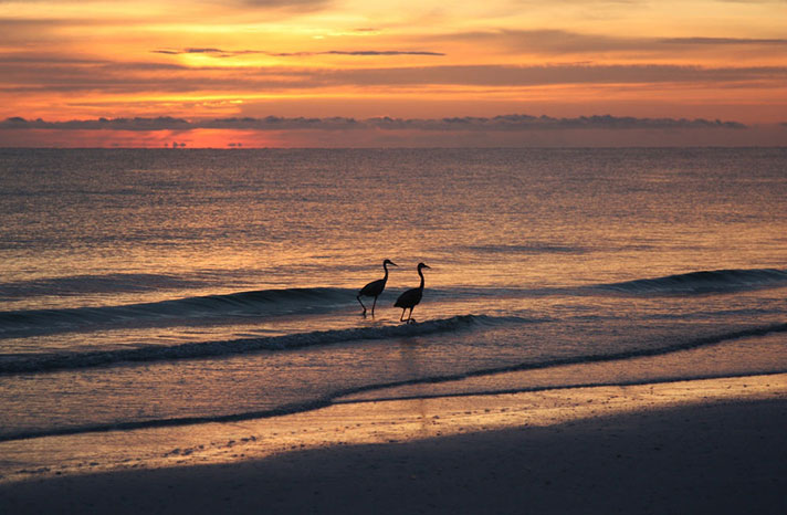 Marco-Island,-Florida