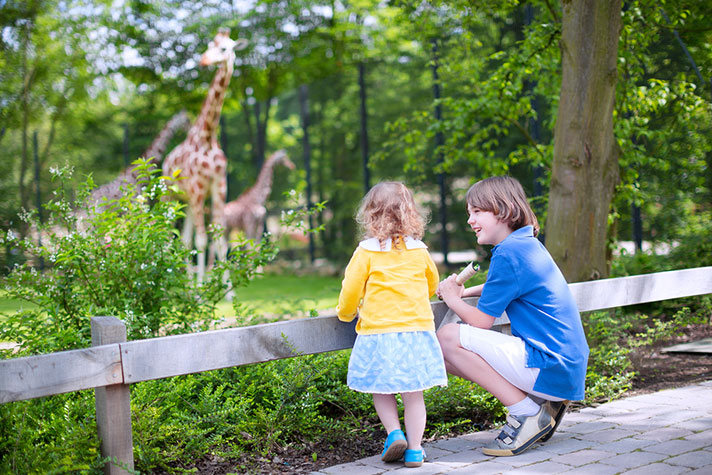 Sunshine-Zoo-(Queensland,-Australia)