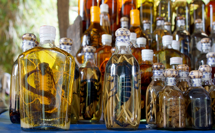 8 Oddest Food Items Snake Wine