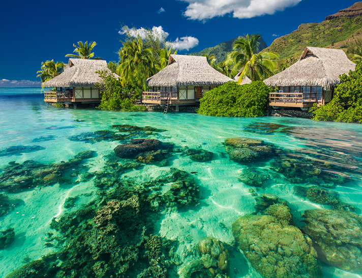 Paradise in the Polynesian Islands