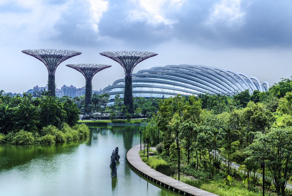 Walk the  OCBC Skyway.  Supertrees- vertical Gardens by the Bay, Singapore